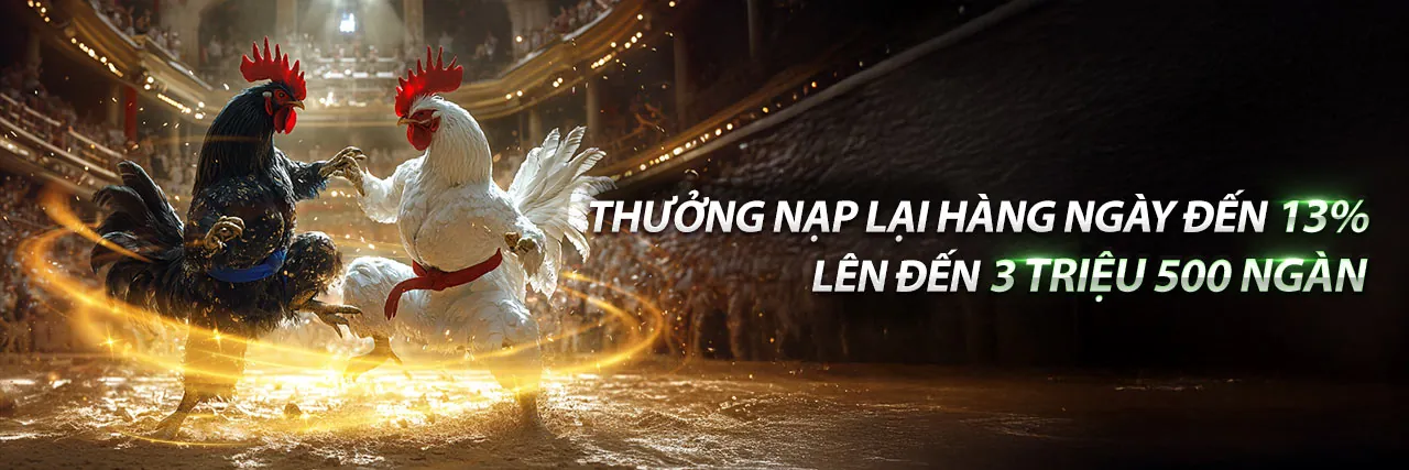 Hình ảnh Điều Khoản Dịch Vụ của ok83861