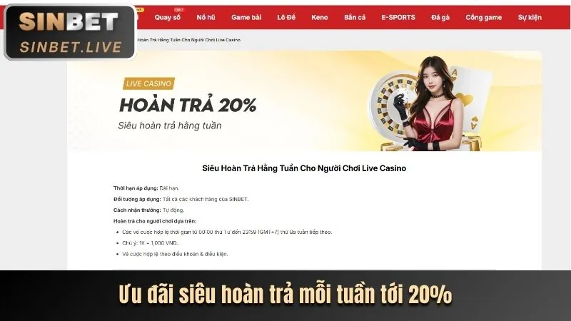 Hoàn trả thể thao và casino ok83861
